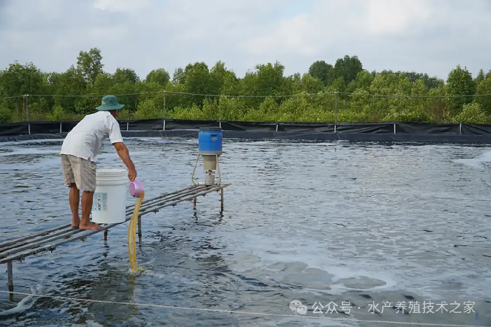 從精選到投喂，實(shí)現(xiàn)成本直降 20%